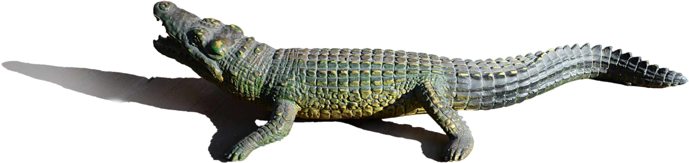 Real Alligator Png Image Background - American Crocodile, Transparent Png PNG with transparent background