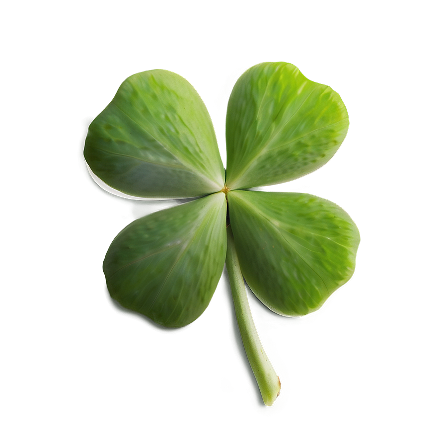 Real Four Leaf Clover PNG 05252024 PNG image with a transparent background, free high-resolution download
