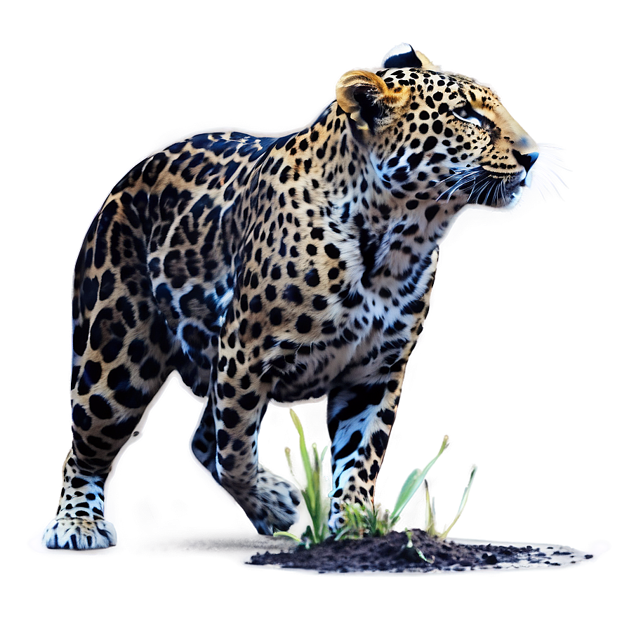 Real Wildlife Adventure PNG 06252024 PNG with transparent background