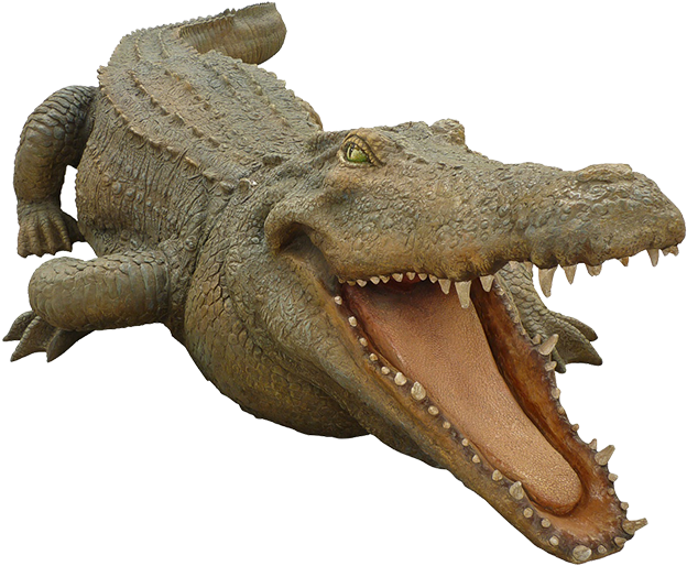 Realistic Alligator Modelwith Open Mouth