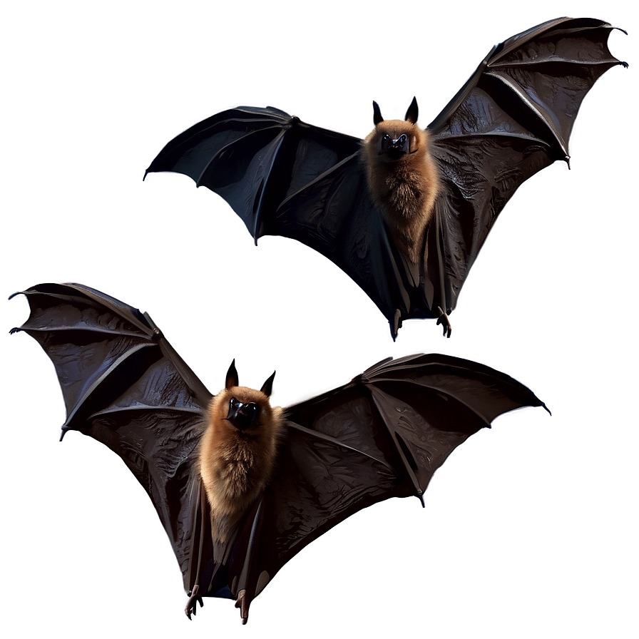 Realistic Bats Illustration Png Vdu89