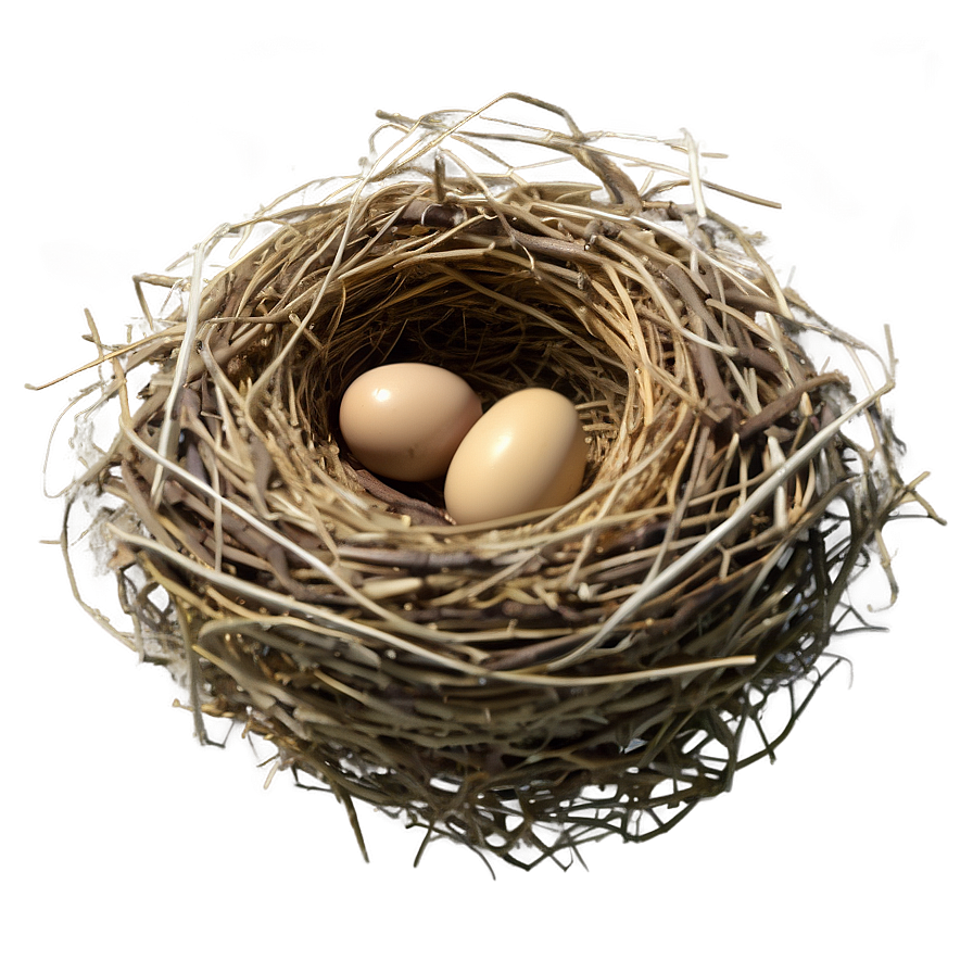 Realistic Bird Nest Png Sug86