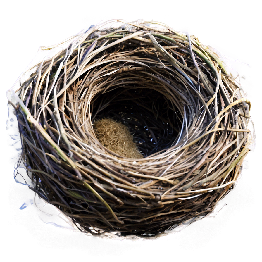 Realistic Bird Nest Png Vlp