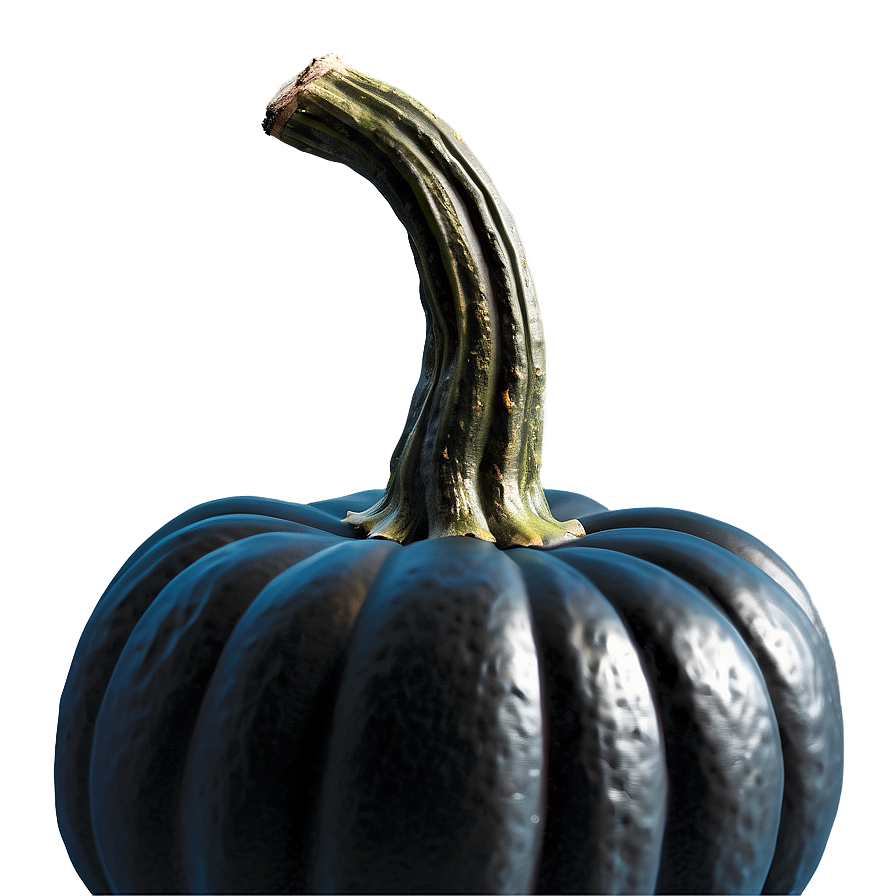 Realistic Black Pumpkin Png 06282024