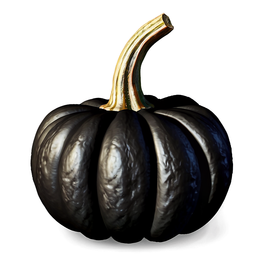 Realistic Black Pumpkin Png 43