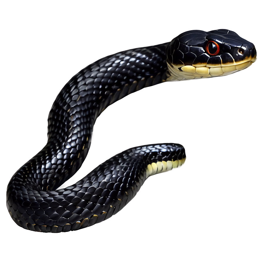 Realistic Black Snake Design Png 06132024