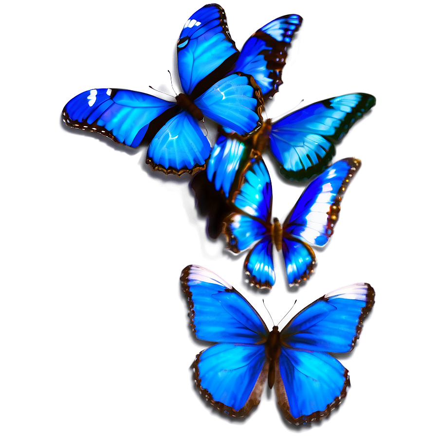 Realistic Blue Butterfly Image Png 05212024