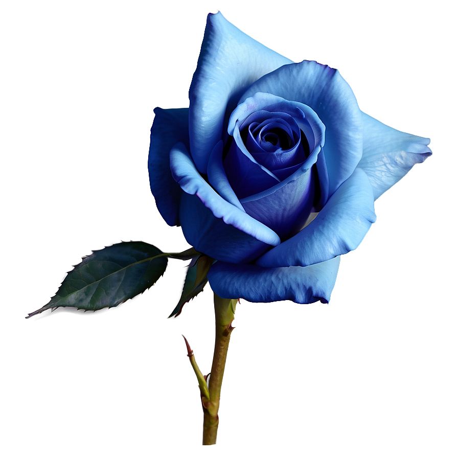 Realistic Blue Rose Png Ofv21