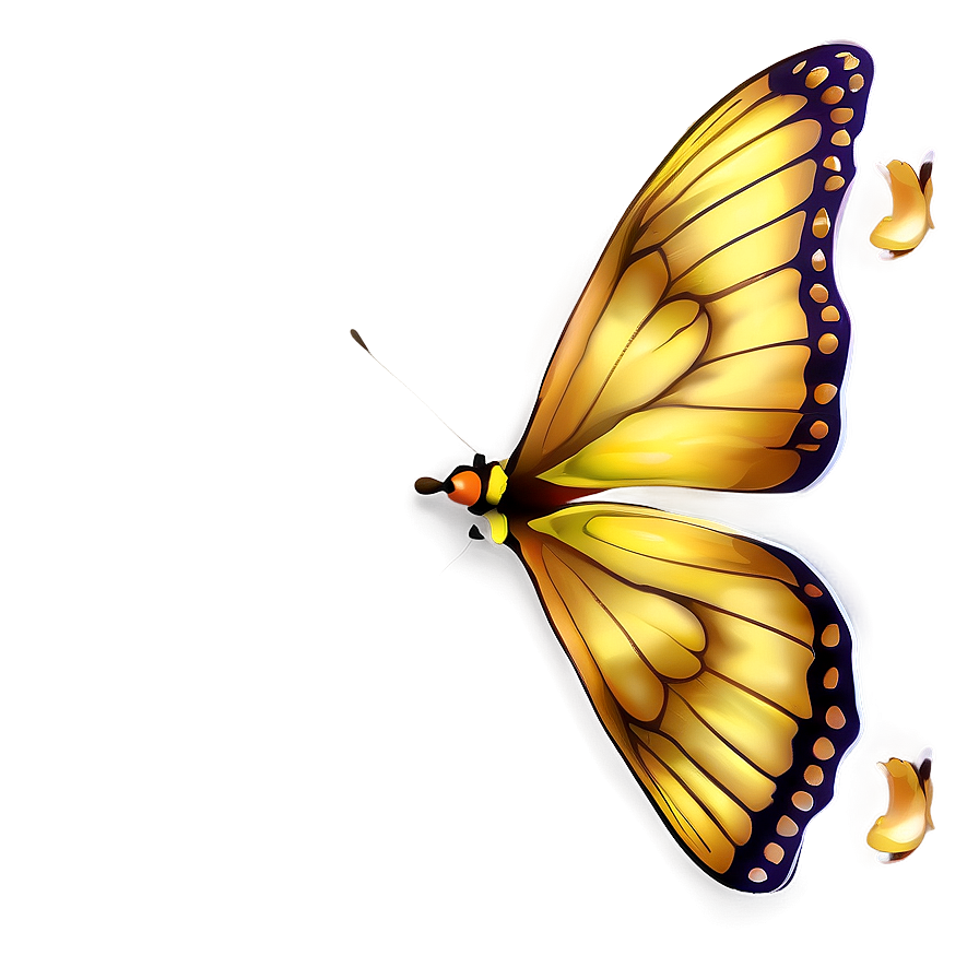 Realistic Butterfly Outline Png 05252024