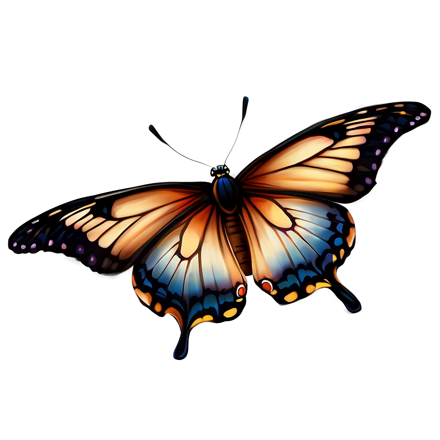 Realistic Butterfly Outline Png 47