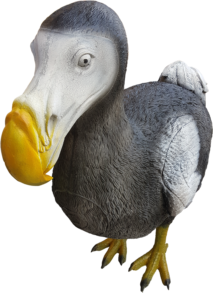 Realistic Dodo Bird Illustration