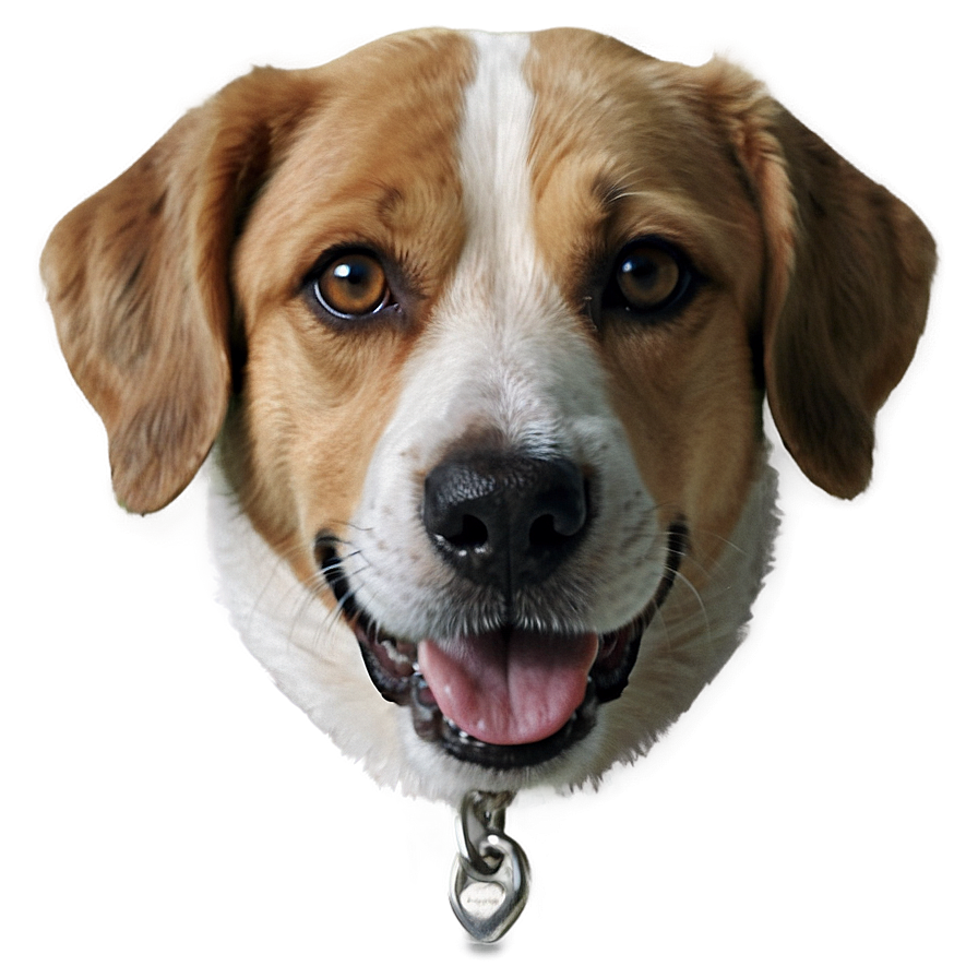 Realistic Dog Transparent Png 44