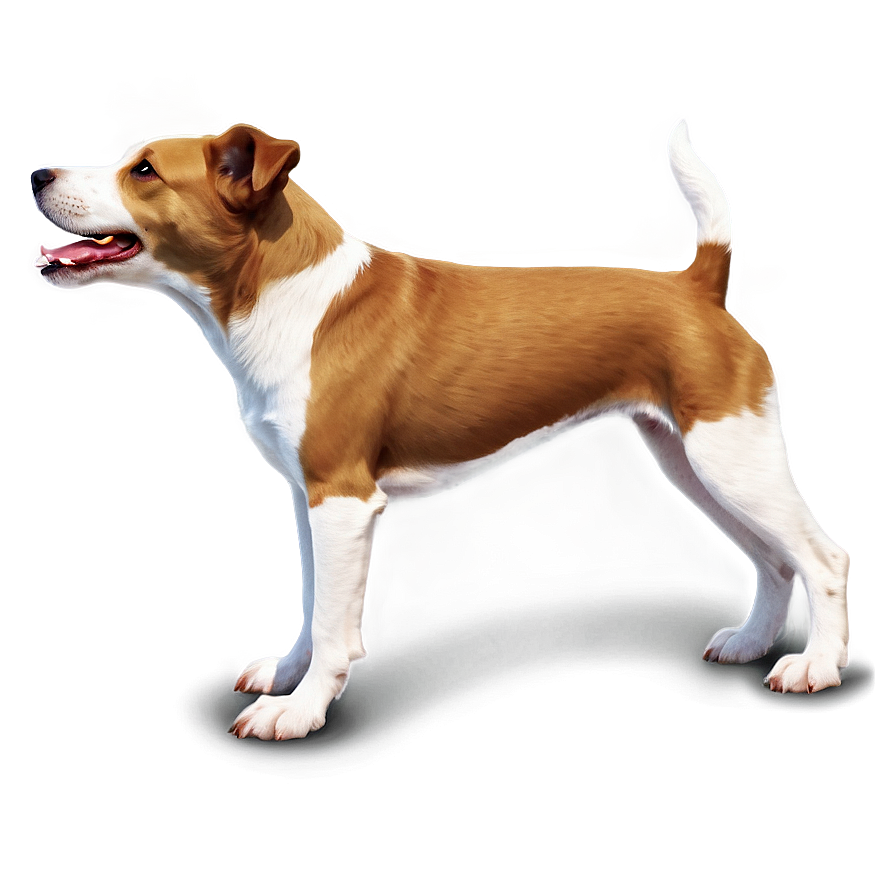 Realistic Dogs PNG 05242024 PNG with transparent background