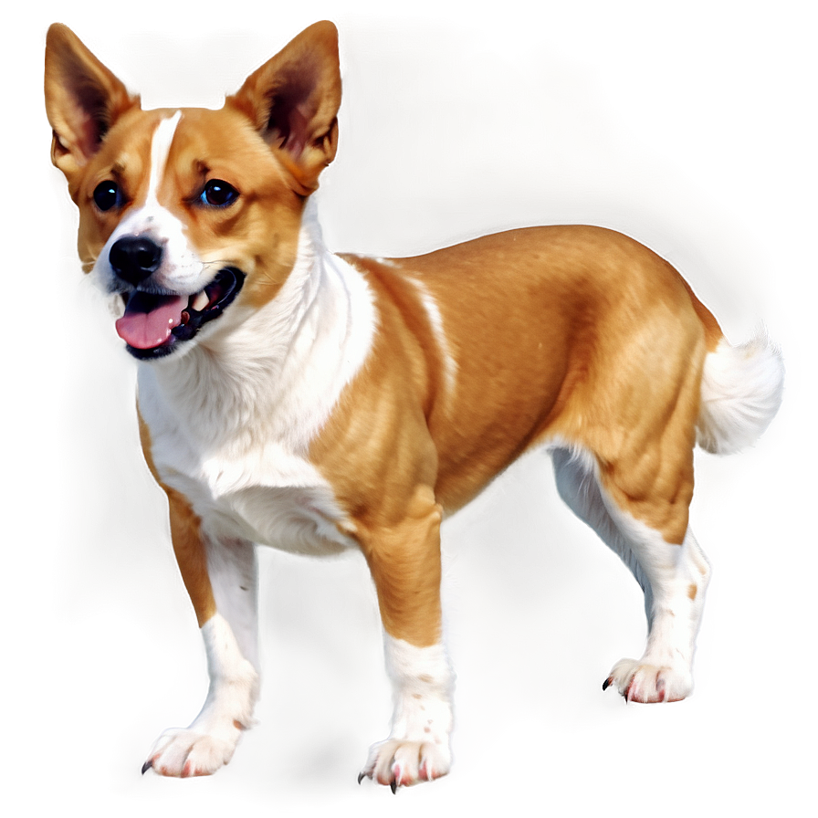 Realistic Dogs Png Cim