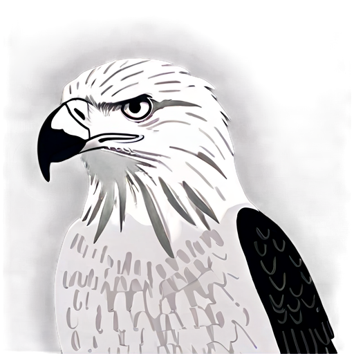 Realistic Eagle Drawing Png B