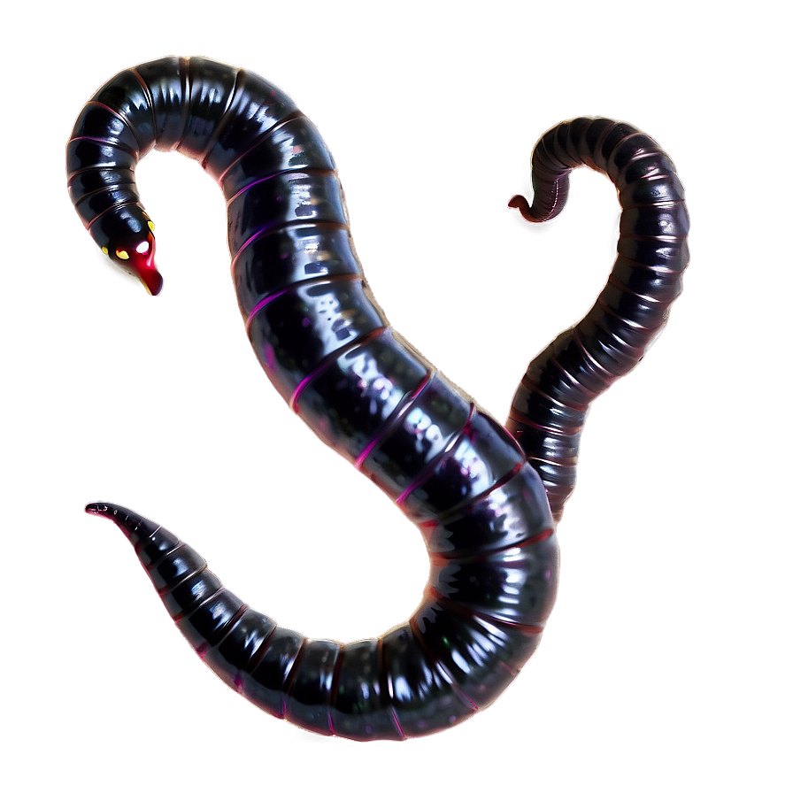 Realistic Earthworm Png 05242024