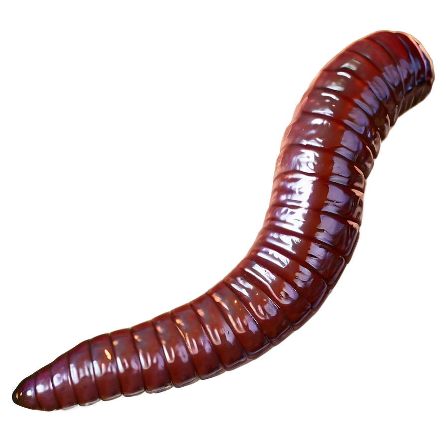 Realistic Earthworm Png Yns