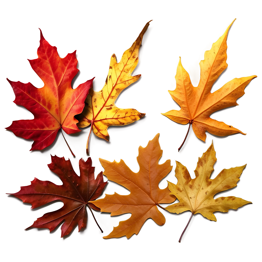 Realistic Fallen Leaves Overlay Png 91