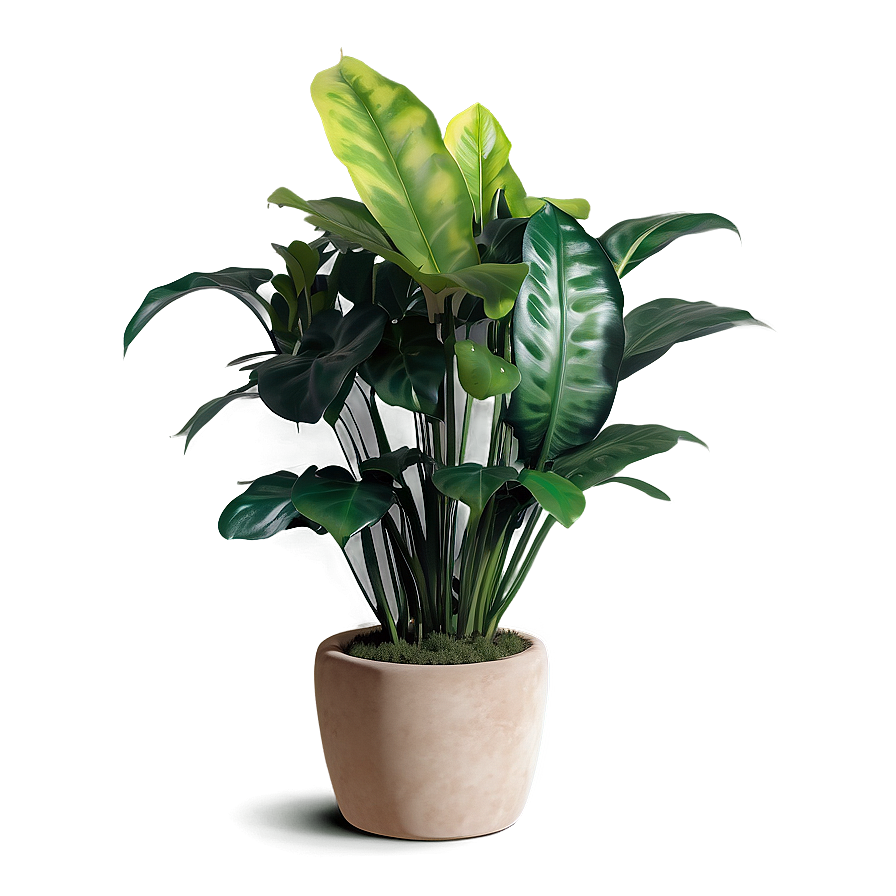 Realistic Floor Plant Png 28