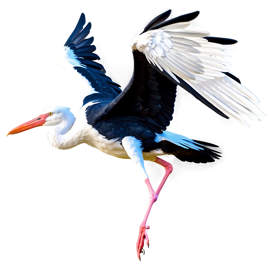 Realistic Flying Stork Png 06122024