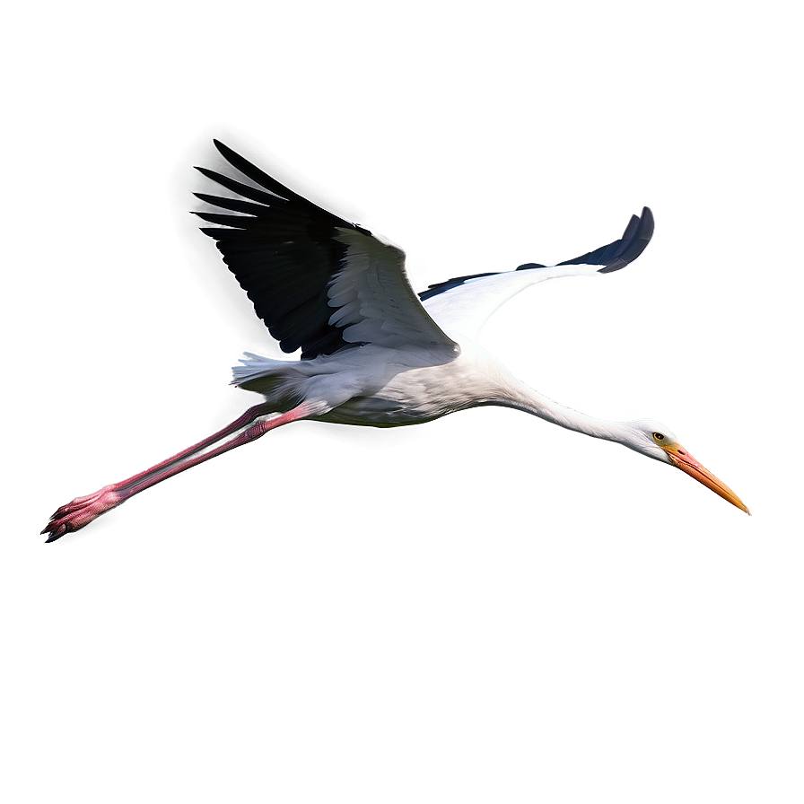 Realistic Flying Stork Png Bdg