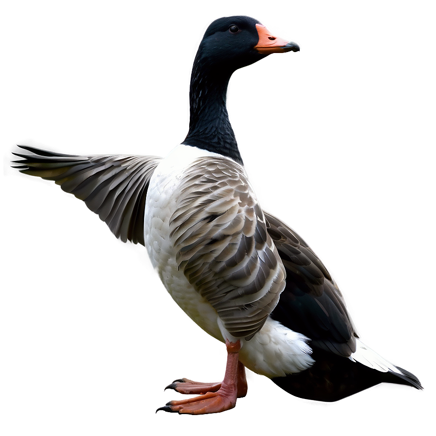 Realistic Goose Drawing Png Fsq