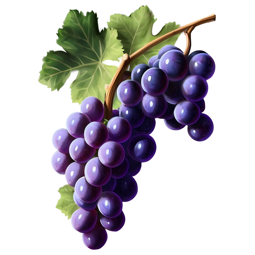 Realistic Grape Art Png 21