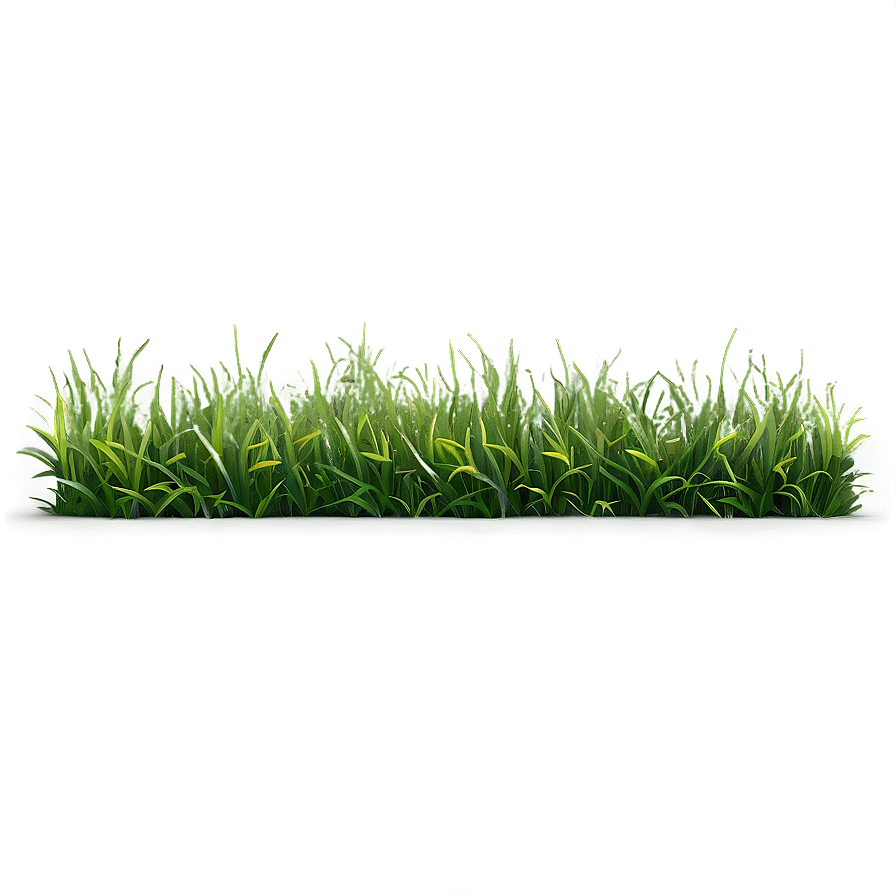 Realistic Grass Border Png 11