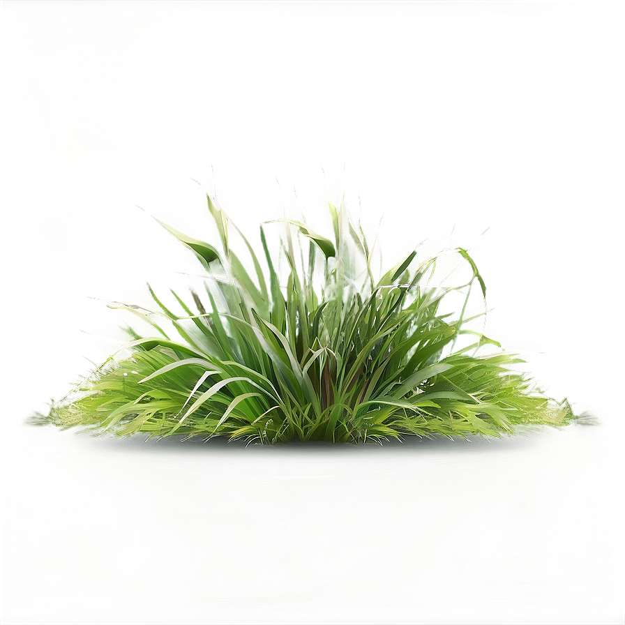 Realistic Grass Border Png 84