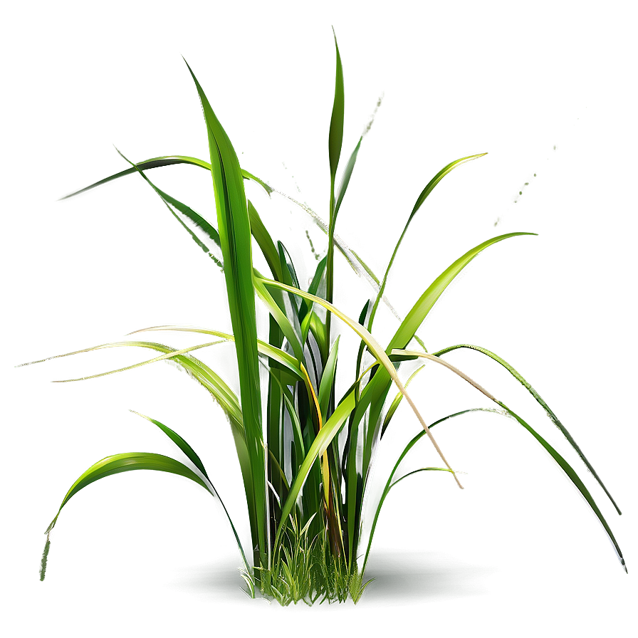 Realistic Grass Clipart Png Oov