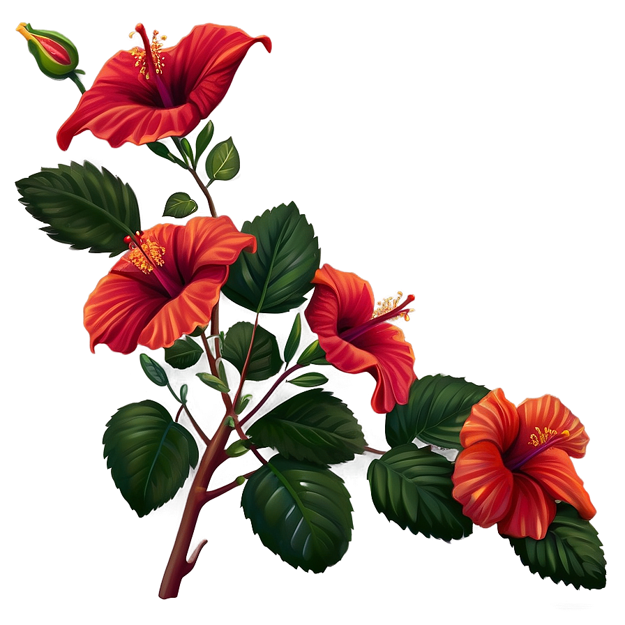 Realistic Hibiscus Png Cnk