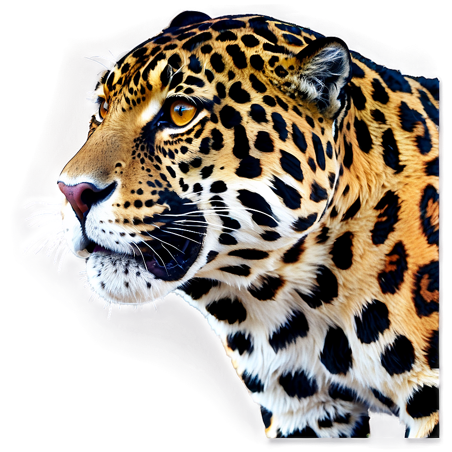 Realistic Jaguar Png 05212024