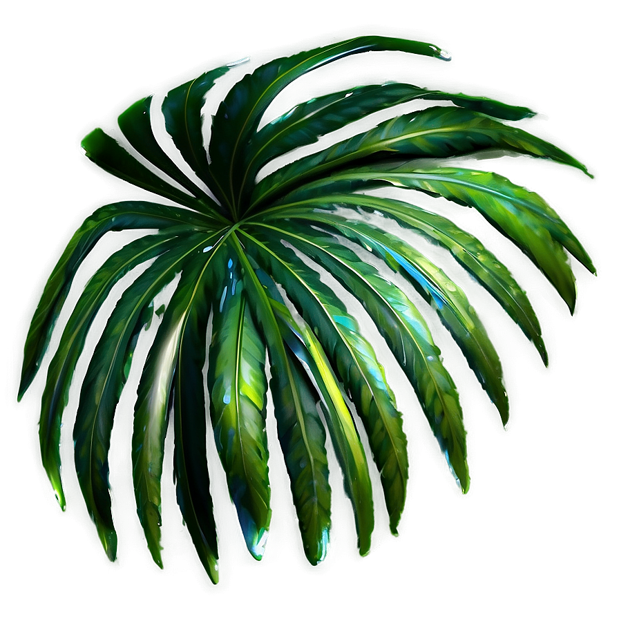Realistic Palm Leaves PNG 05252024 PNG with transparent background