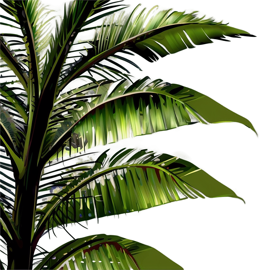 Realistic Palm Leaves PNG 13 PNG with transparent background