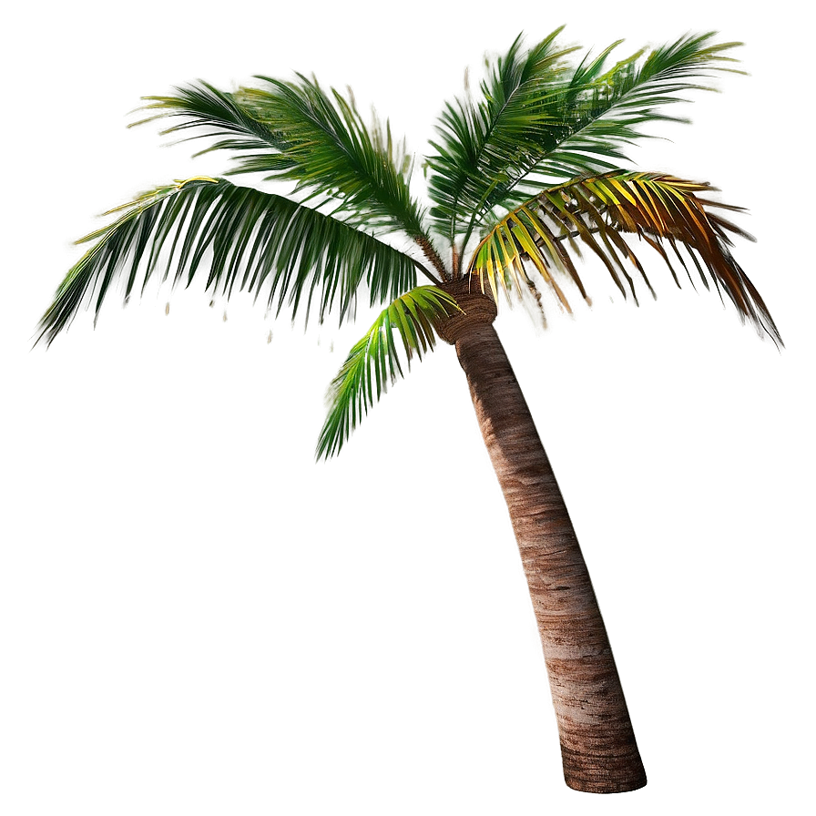 Realistic Palm Tree PNG xsn92 PNG with transparent background
