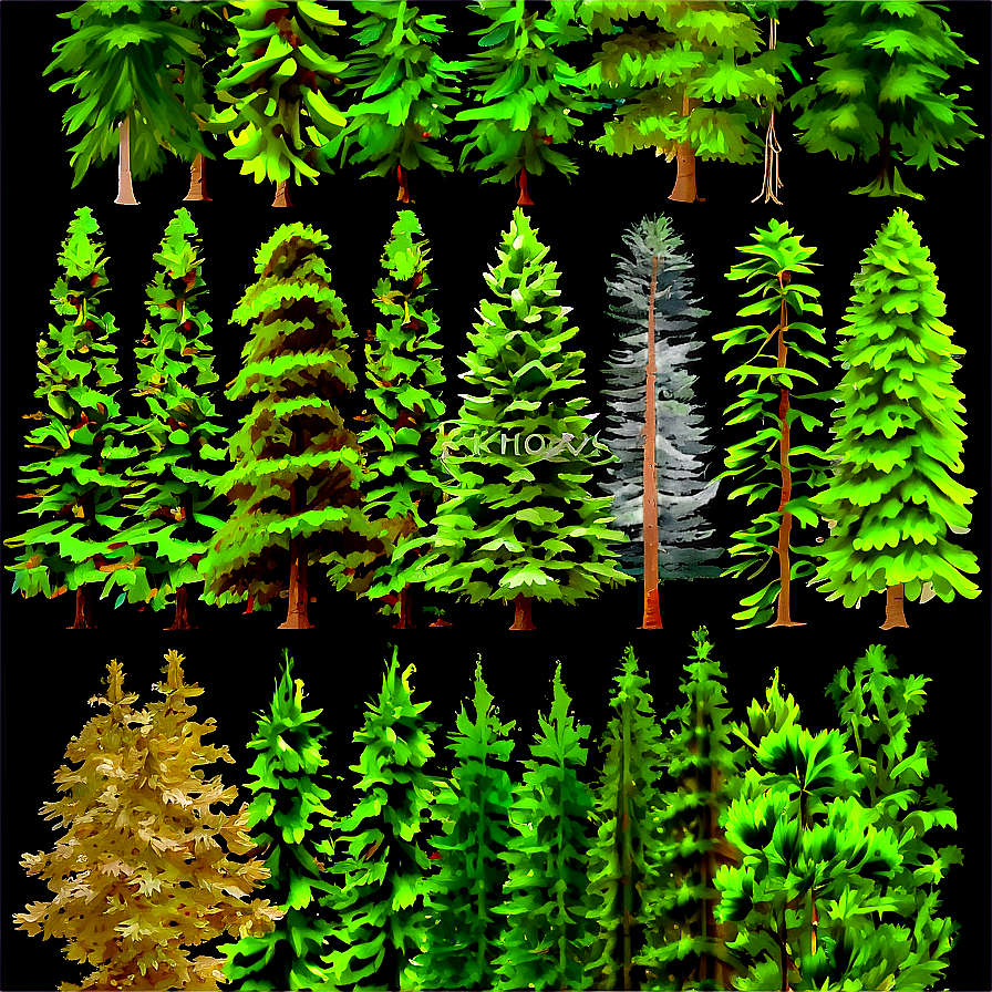 Realistic Pine Trees Png 05252024