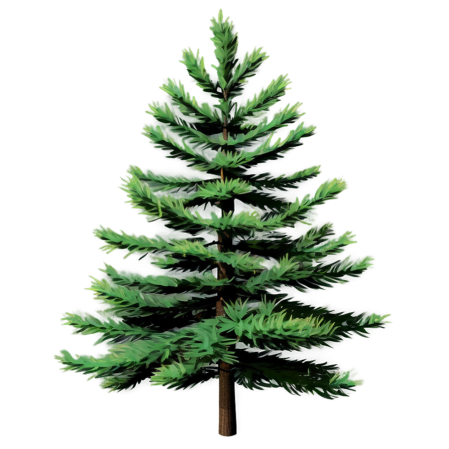 Realistic Pine Trees PNG 05252024 PNG image with a transparent background, free high-resolution download