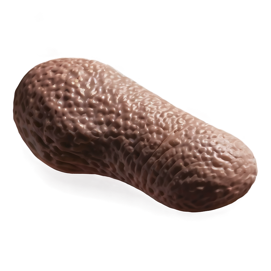 Realistic Poop Png 05232024