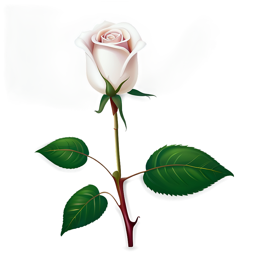 Realistic Rose Vector Image Png 4