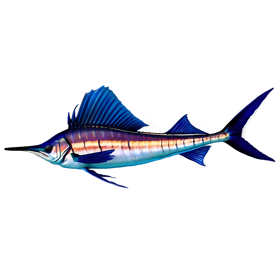 Realistic Sailfish Graphic Png Jvv66