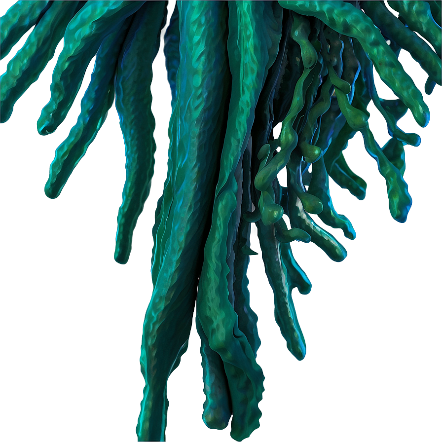 Realistic Seaweed Art PNG lgu PNG with transparent background