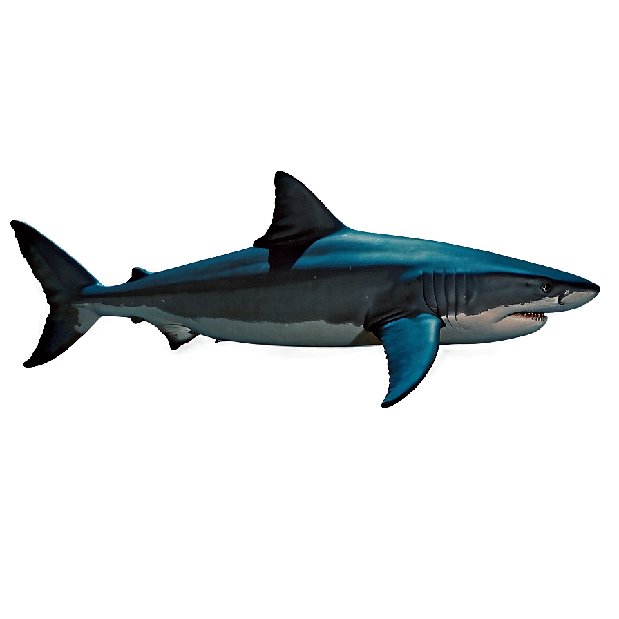 Realistic Shark Fin Png Kwh46