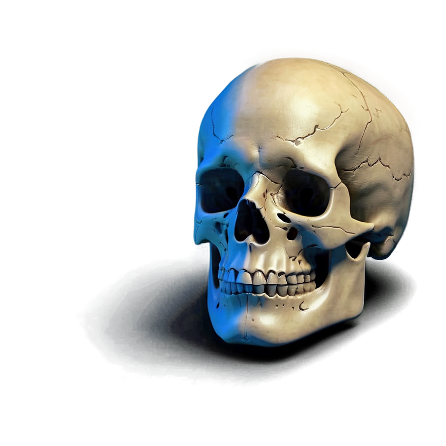 Realistic Skull Face Representation Png Roo7