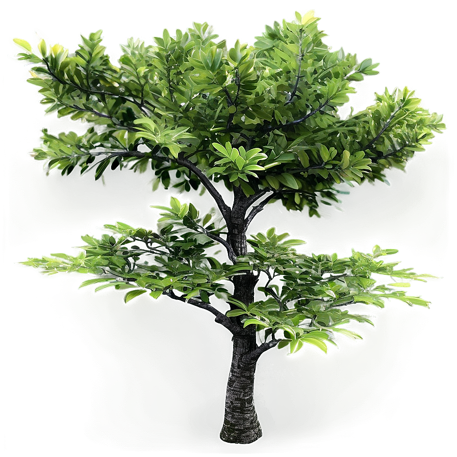 Realistic Small Tree Png 06132024