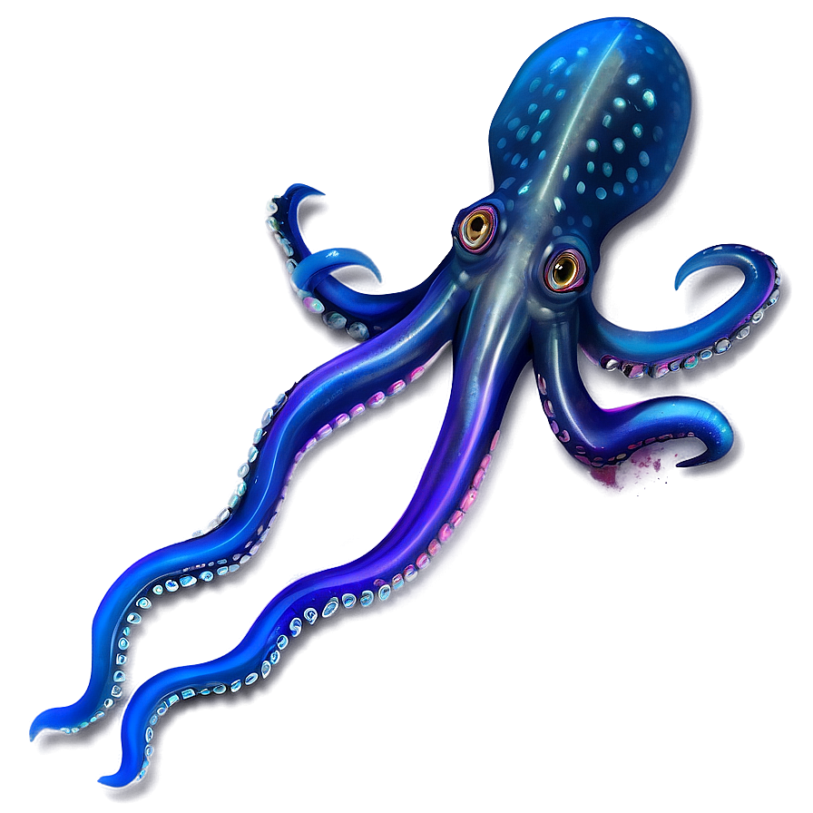 Realistic Squid Art PNG 86 PNG image with a transparent background, free high-resolution download