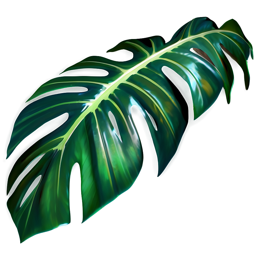 Realistic Tropical Leaf Graphic Png 81