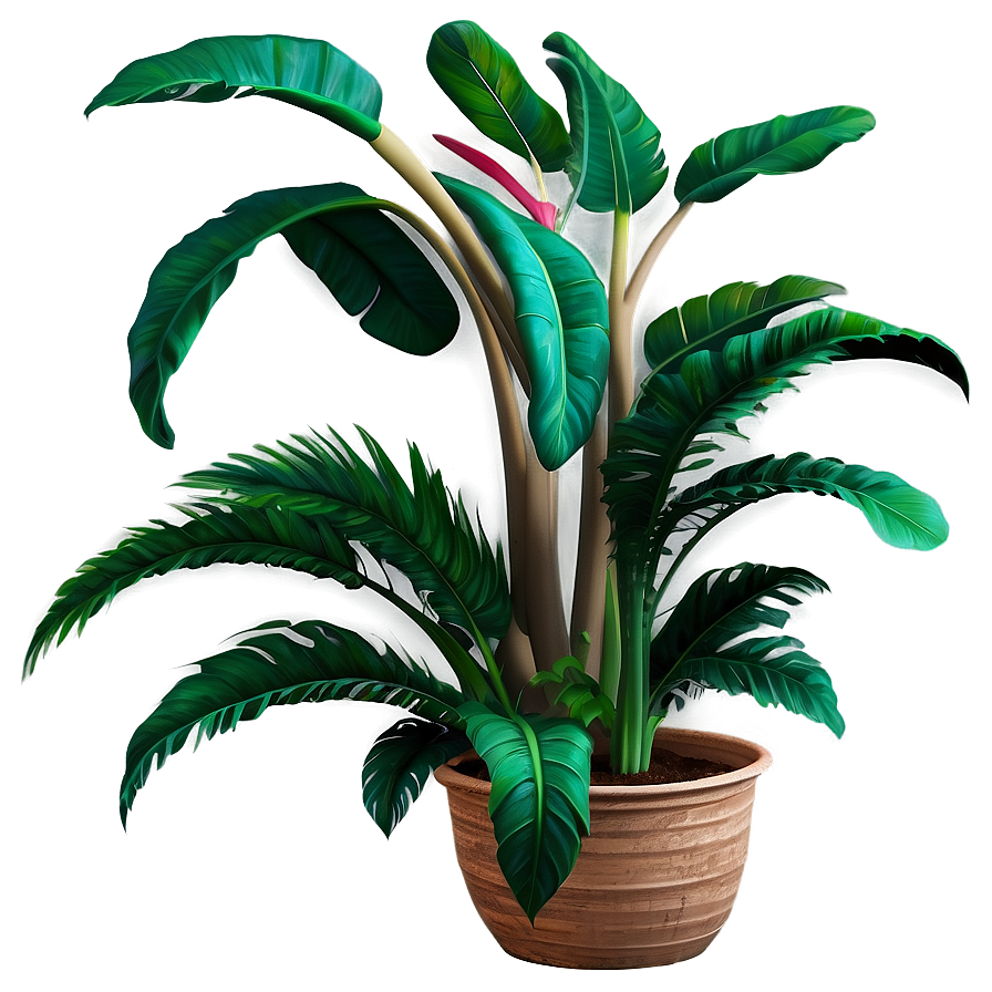 Realistic Tropical Plant Png Qgd