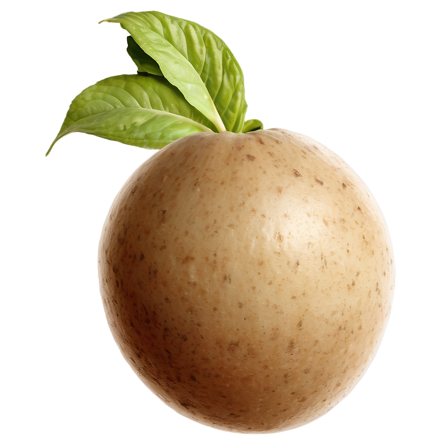 Realistic Tuber Image Png 05252024