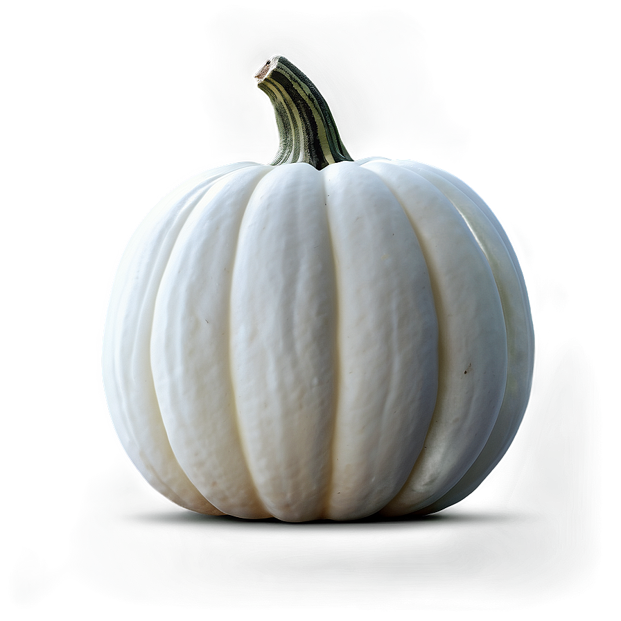 Realistic White Pumpkin PNG mfs53 PNG image with a transparent background, free high-resolution download