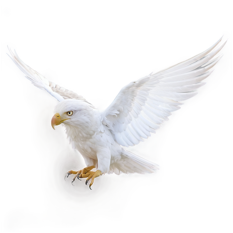 Realistic White Wings Png 99